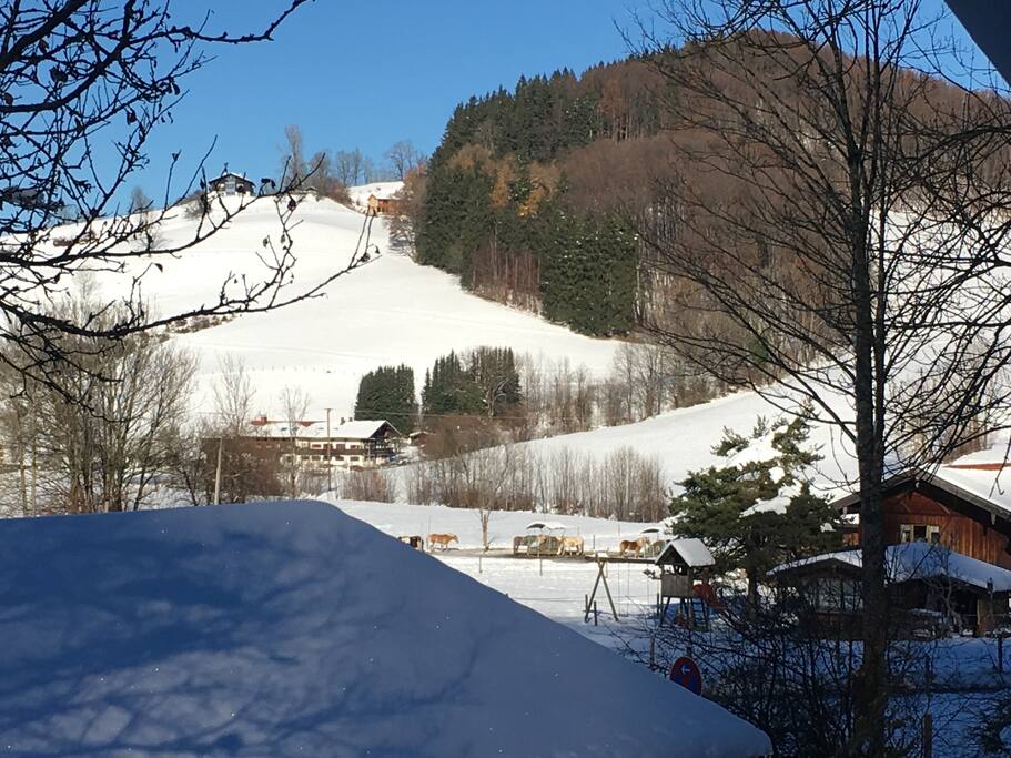 Umgebung