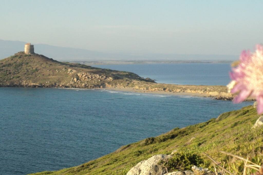 Capo San Marco a 10 km