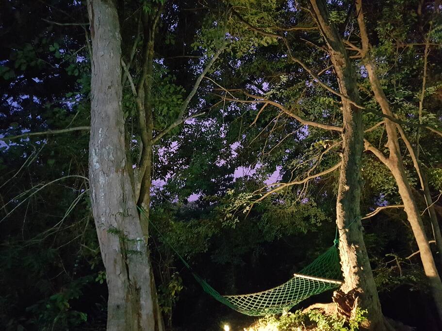 hammock