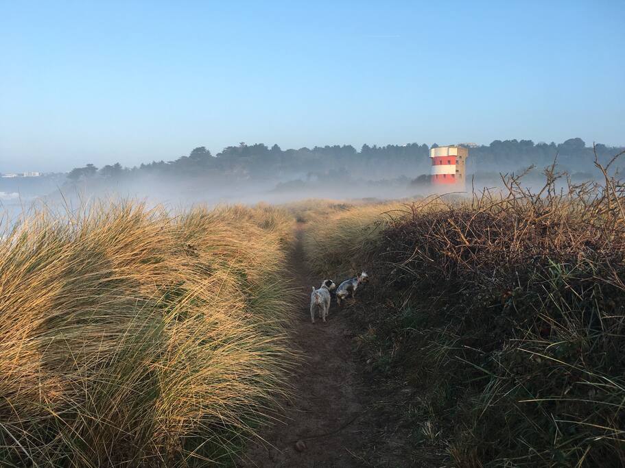 Lovely walks nearby