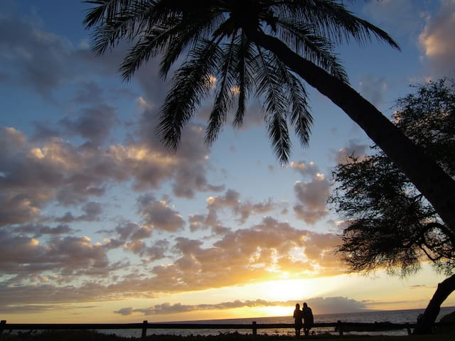 Adventure HQ – Kihei Condo steps to Pool & Beach