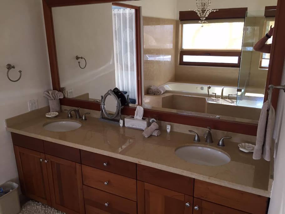 Master Bathroom Vanity