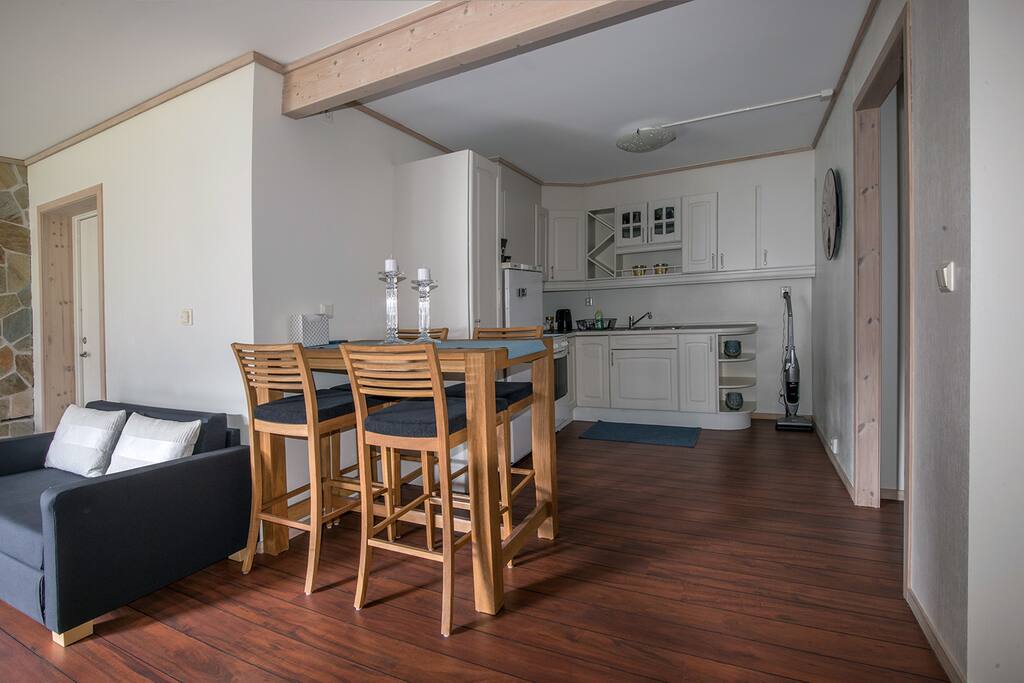 Open space kitchen and dining area, including sofa bed