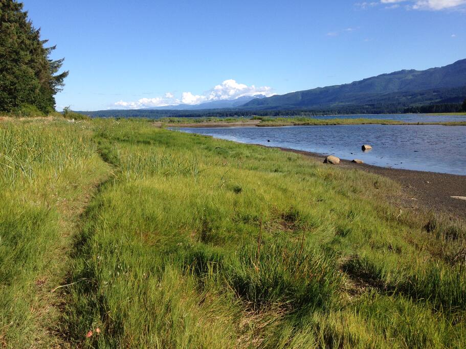 It's just a short walk along the beach to Ships Point Park.