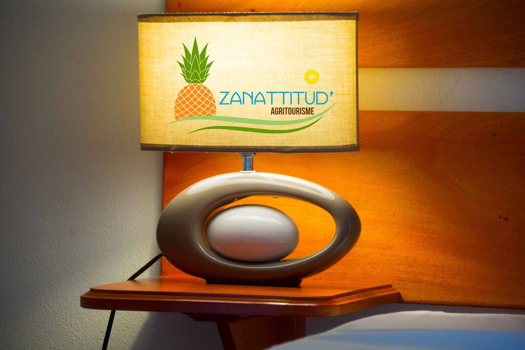 Zanattitud, l'ananas fleuri.