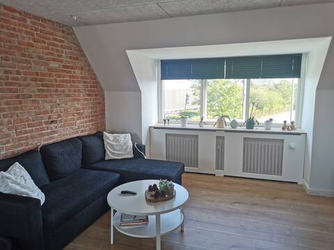 Lovely newly renovated apartment with large rooftop terrace.