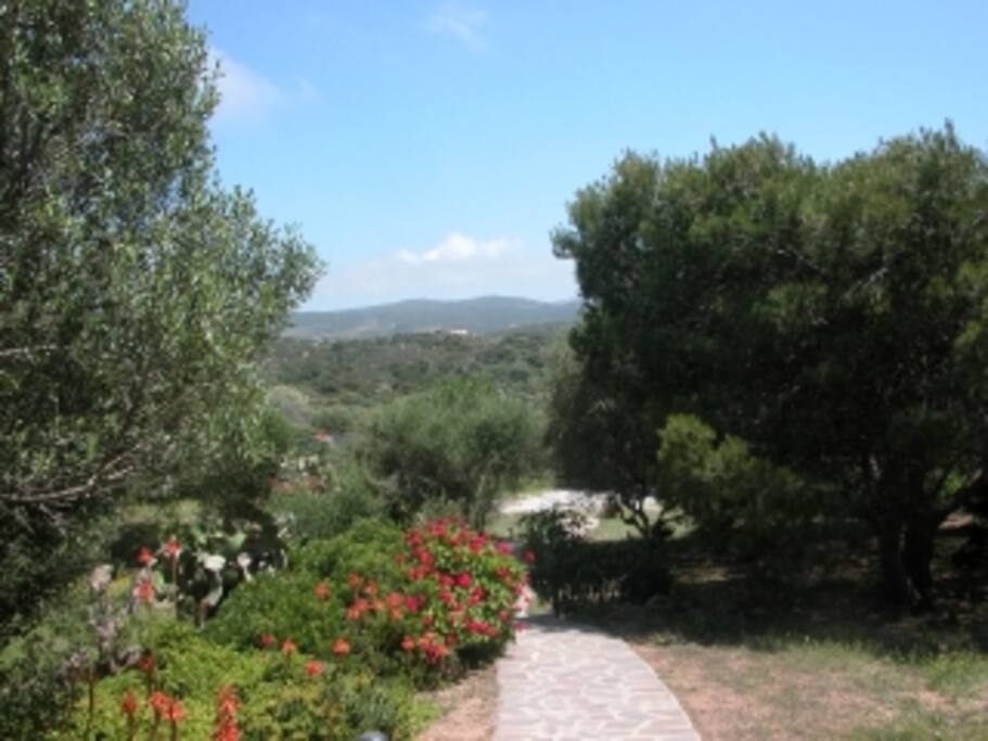 Il giardino