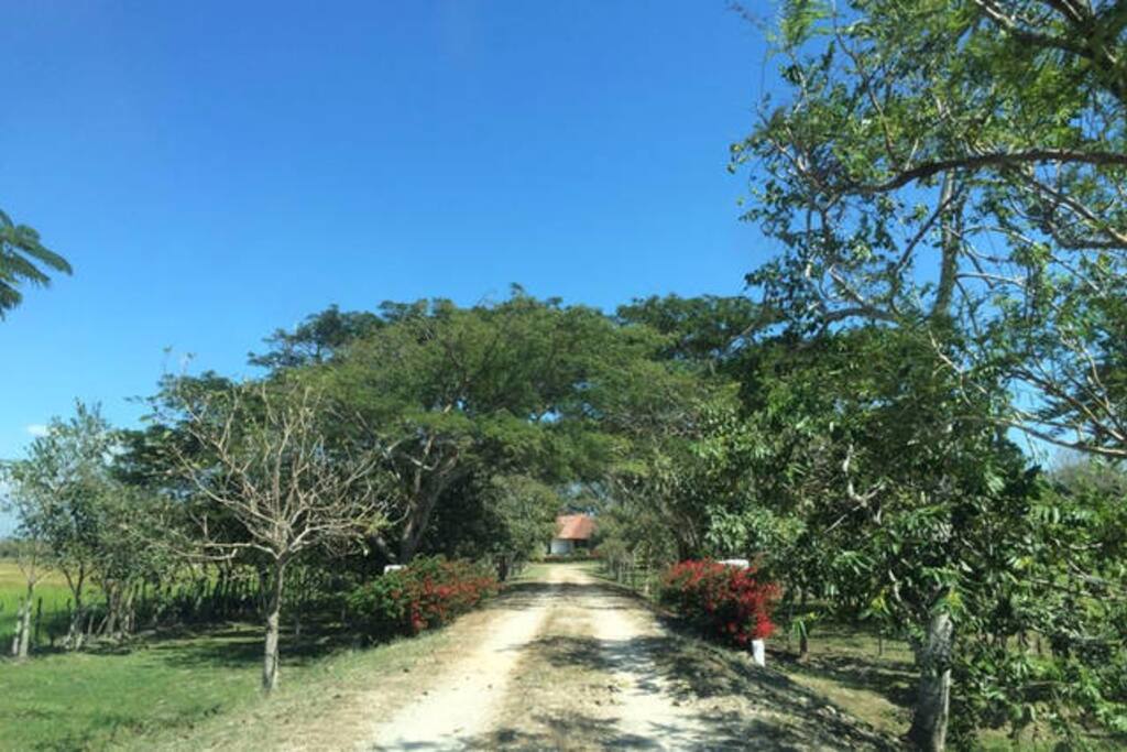 Entrance to the farmhouse
