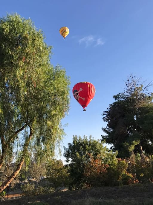 Most mornings you can see the beautiful hot air balloons as they float across Wine Country.