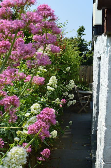 The private side path that takes you into Narnia and your own courtyard.