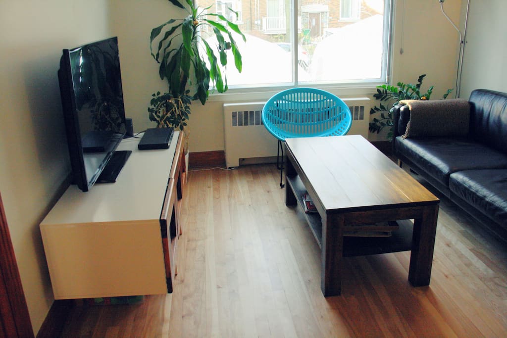 Living room with home made furniture