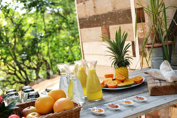 Otentic Eco Tent Experience - Bed and breakfasts for Rent in Mahebourg,  Grand Port, Mauritius - Airbnb