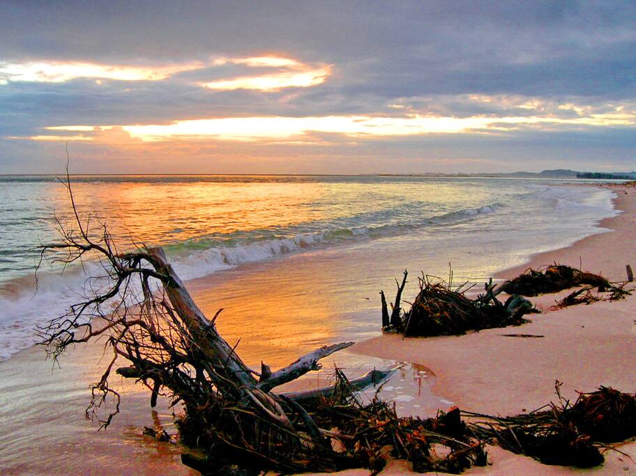 Debris at Dawn - natural floatsam