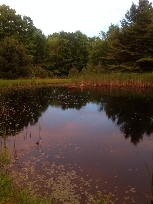 Fresh water pond