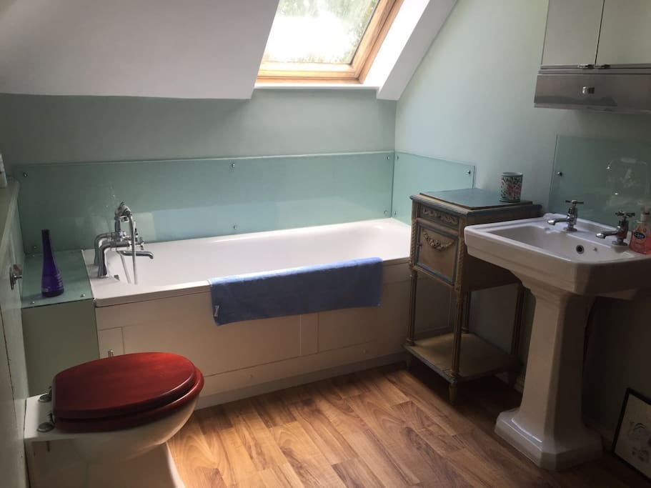 The bathroom with handheld shower.