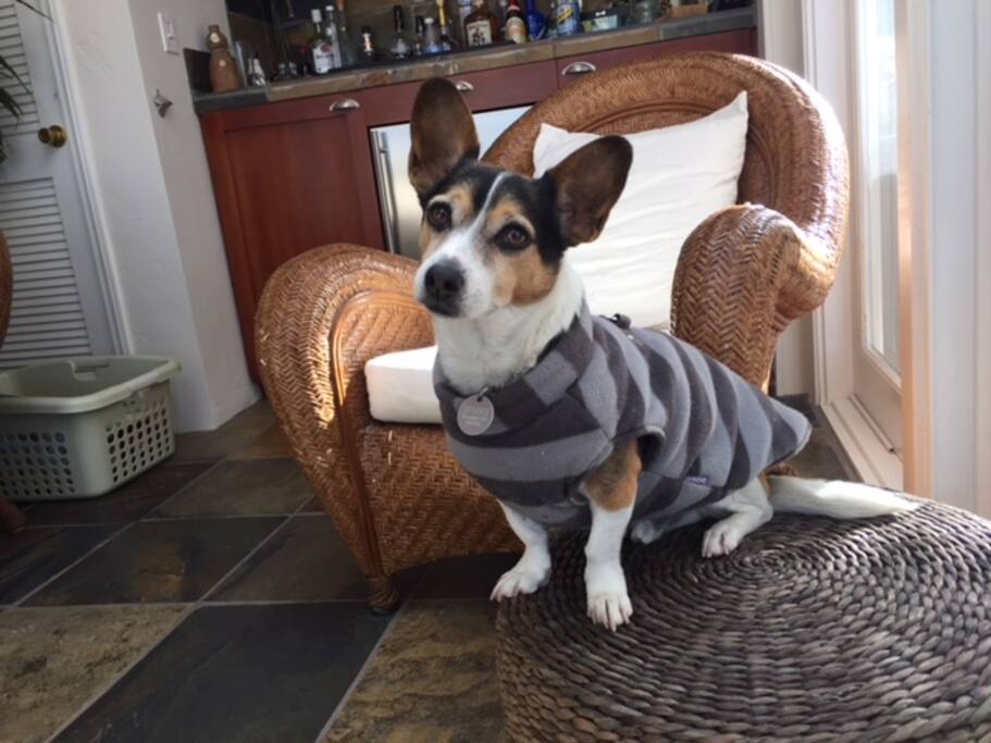 "Sparky"
