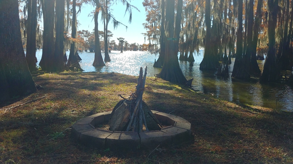 A fire pit is situated within a circular stone layout, surrounded by cypress trees that rise from the water's edge. Sunlight reflects off the lake's surface, creating a serene atmosphere in this natural setting.