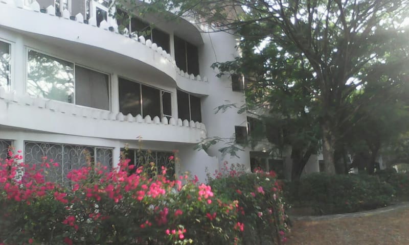 Blue Marlin Apartments