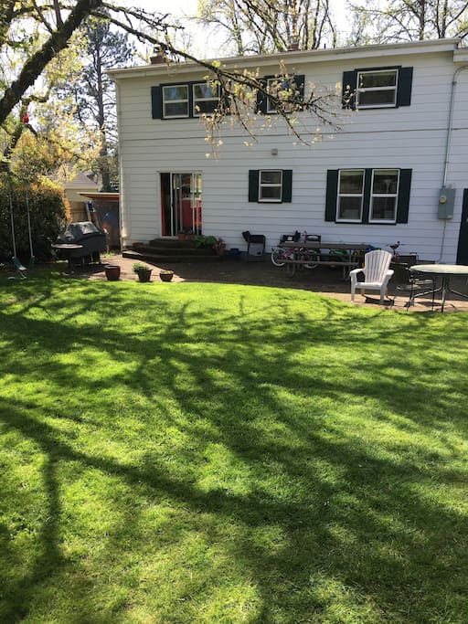 Back yard