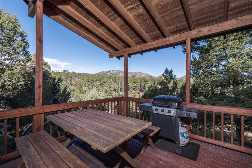 Dine in the pines! - Prepare your dinner outside and enjoy grilling in the cool mountain air.