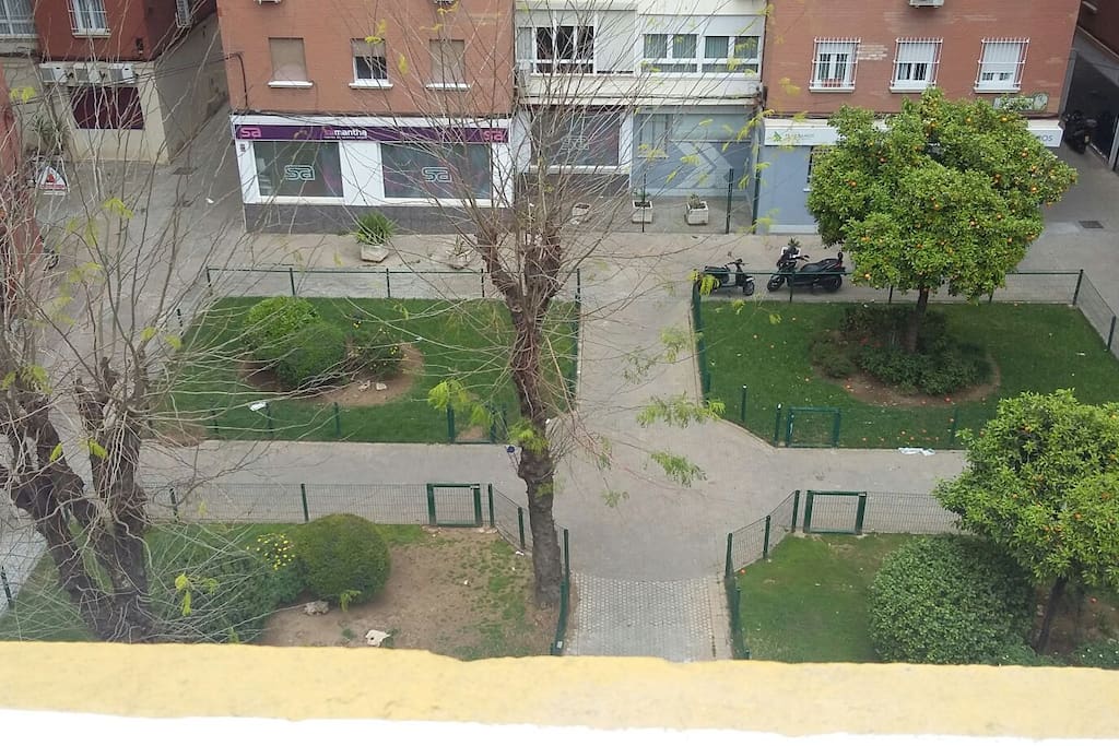 vista