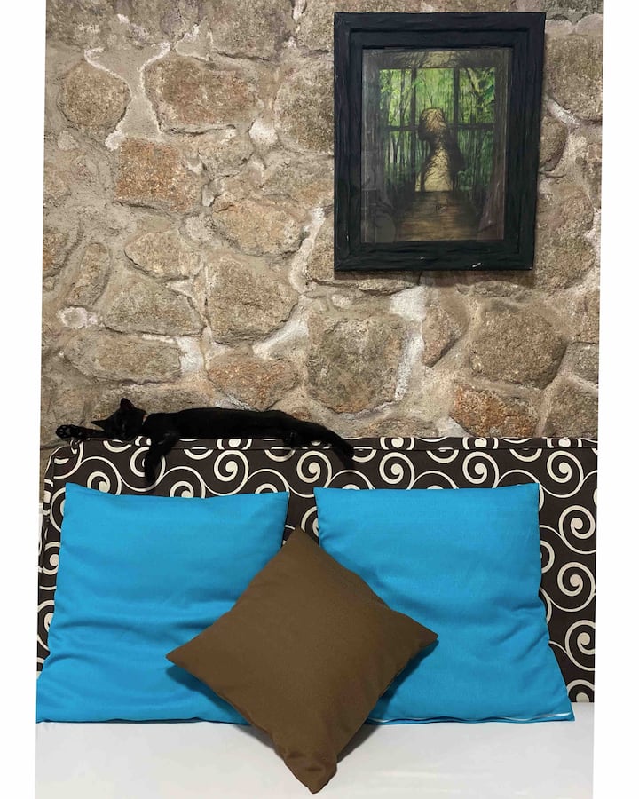 Ეს არის კატა გალია, რომელმაც, შესაძლოა, თქვენი სტუმრობის შესახებ კიდევ ერთი ვიზიტი შეძლოს.