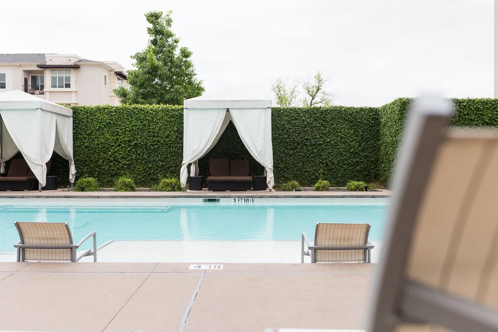 Stunning resort-style pool with loungers