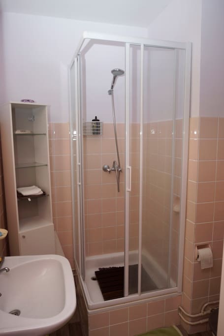 Private bathroom with shower