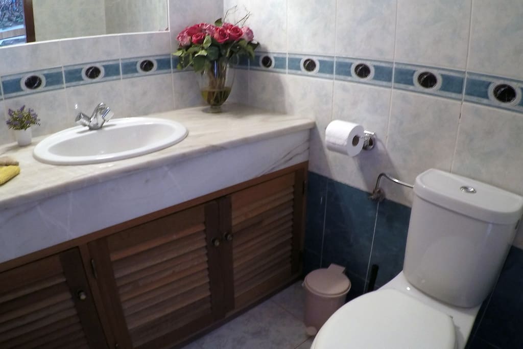Toilette indépendante