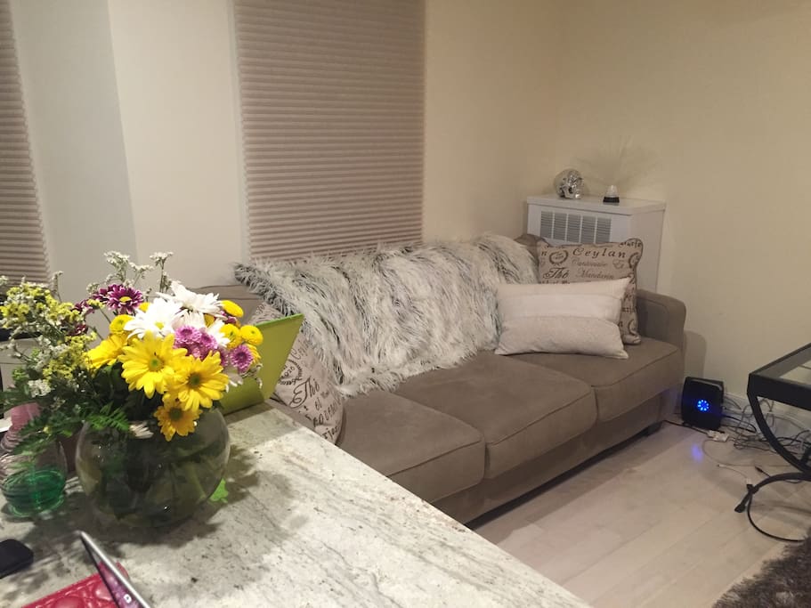 Living room/kitchen area