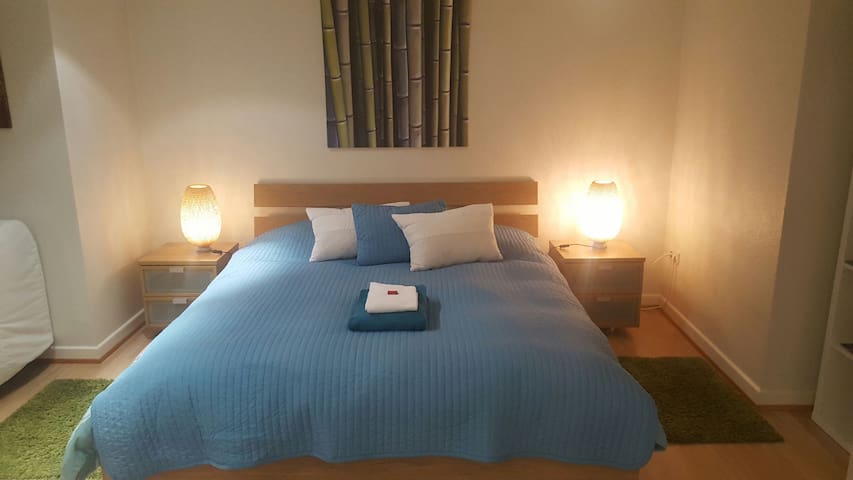 Large attic room near city center