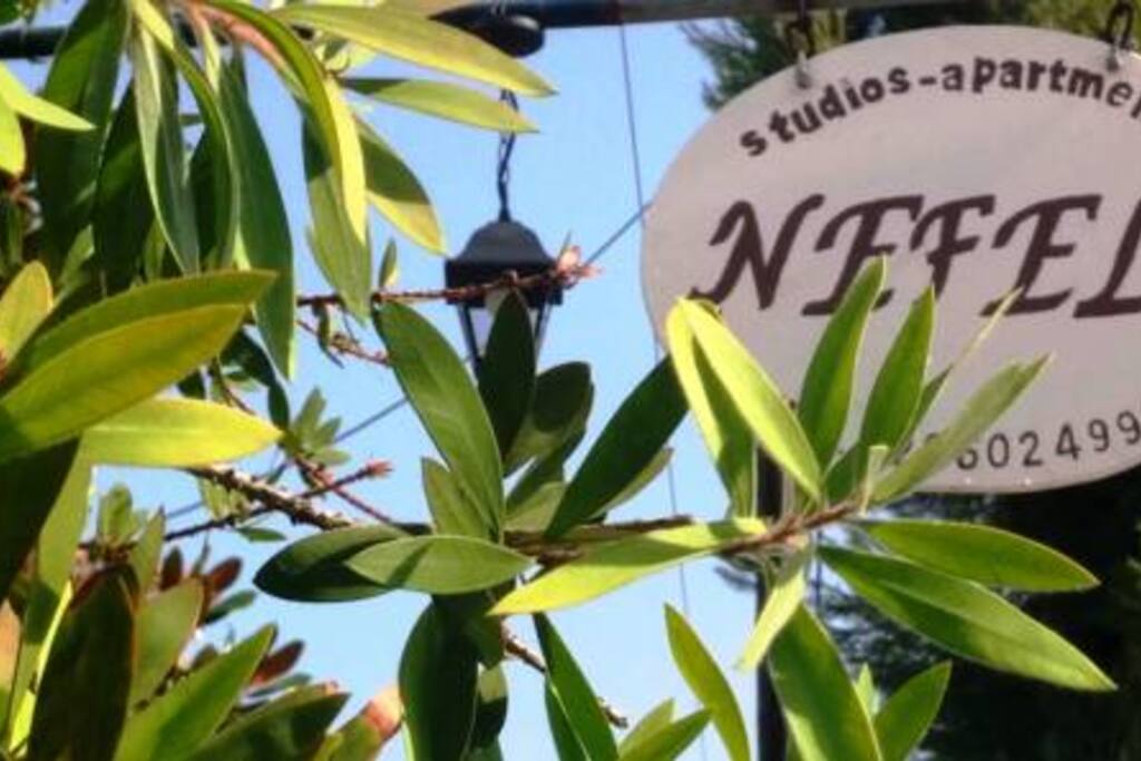 NEFELI STUDIOS