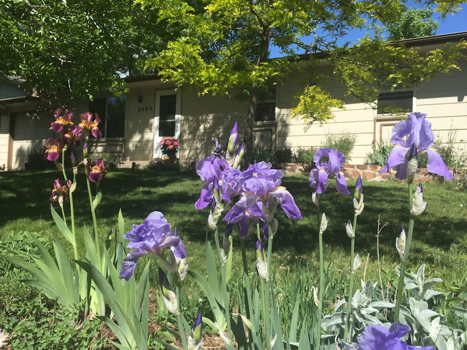 View from the street.