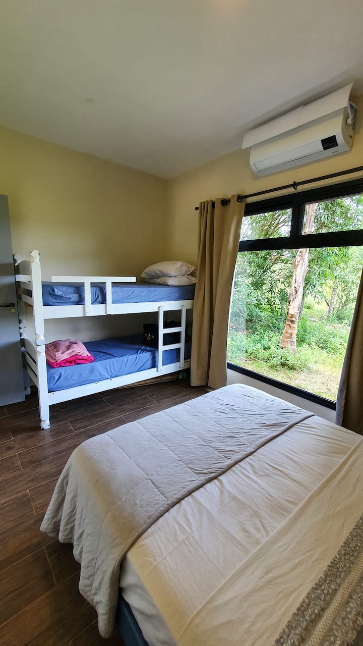 Ნომერი შალე 1
