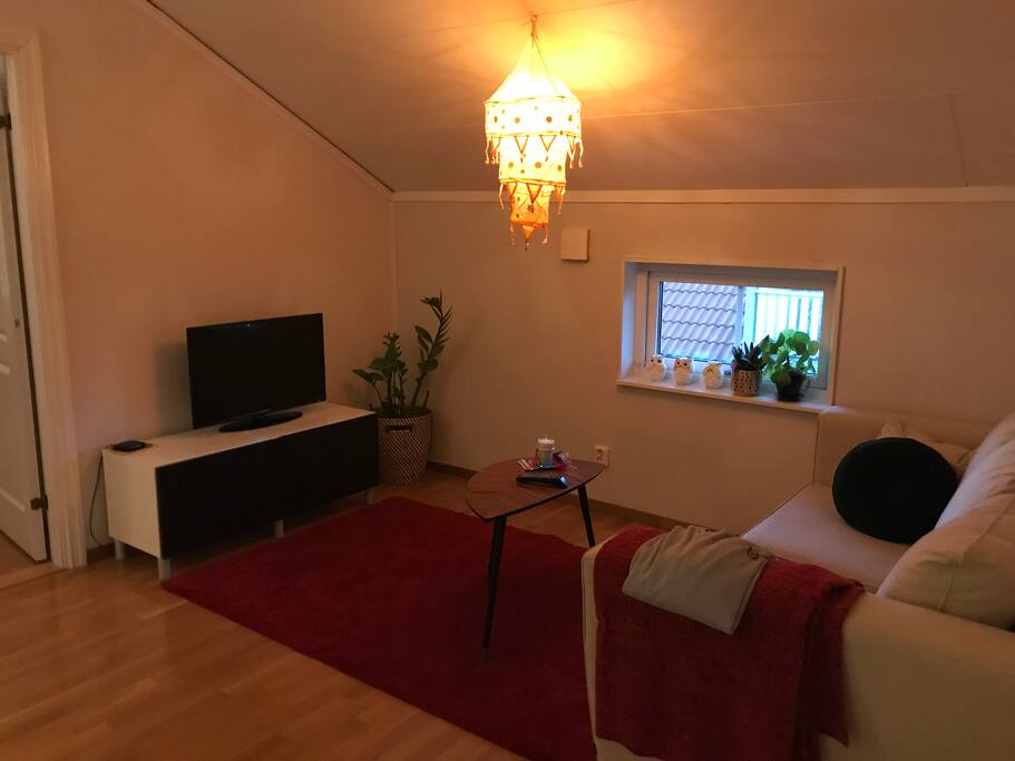 Up stairs Livingroom