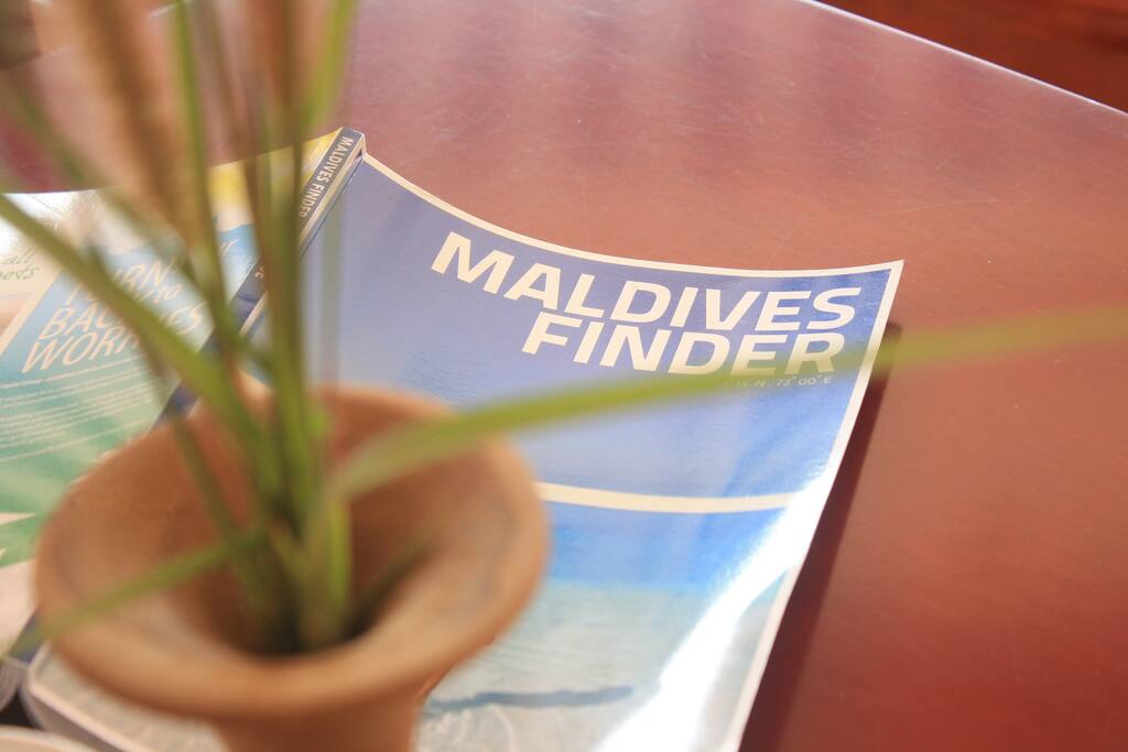 Find Maldives