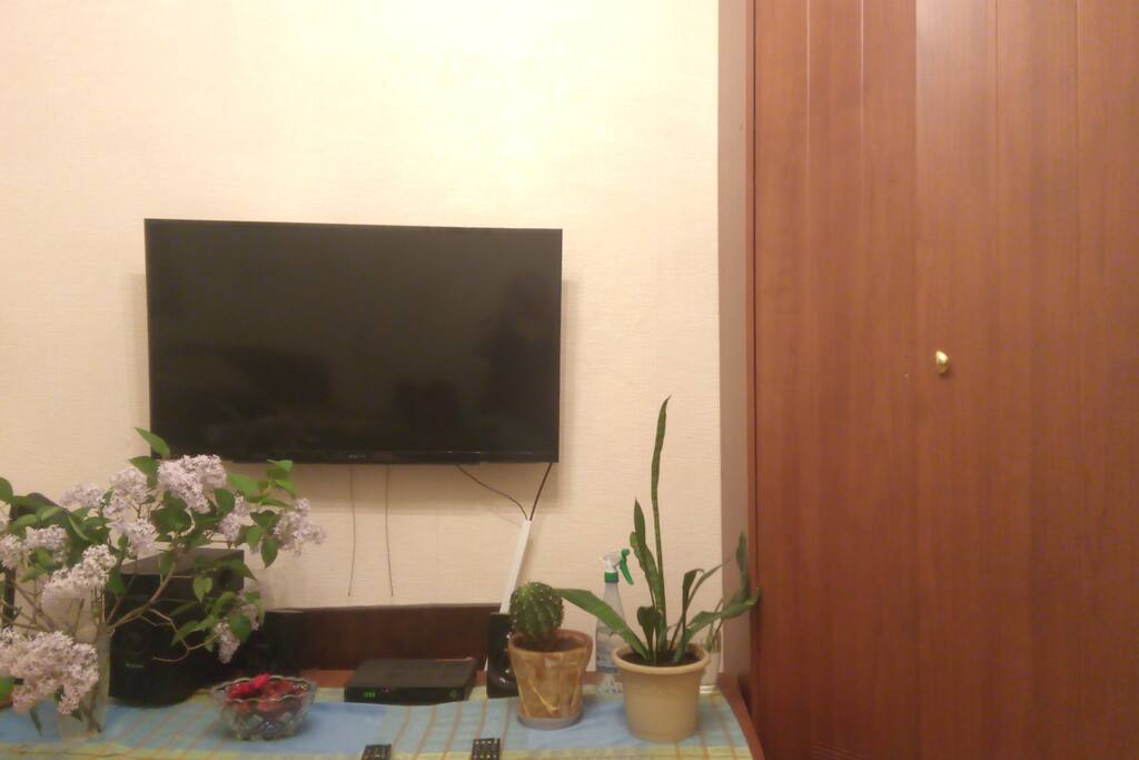 TV,wi-fi