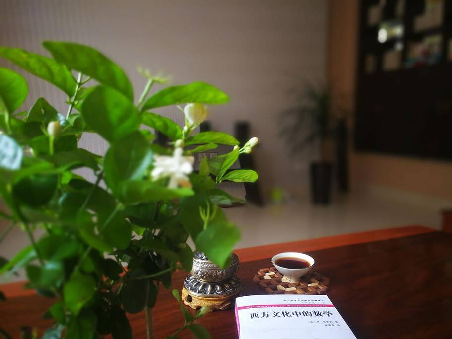 阅读,特别是国学类和旅行类的阅读是清舍的另一大特色,民宿主人也特别愿意和入住者分享交流自己的体会