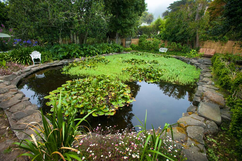 Pond