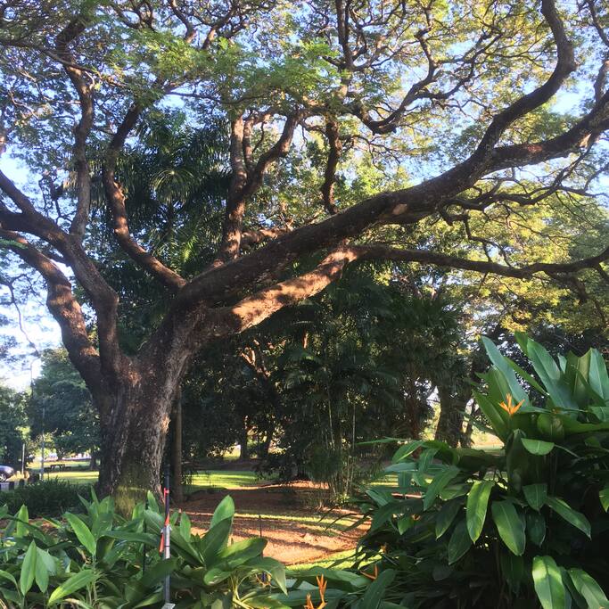 Botanical Gardens right at your doorstep