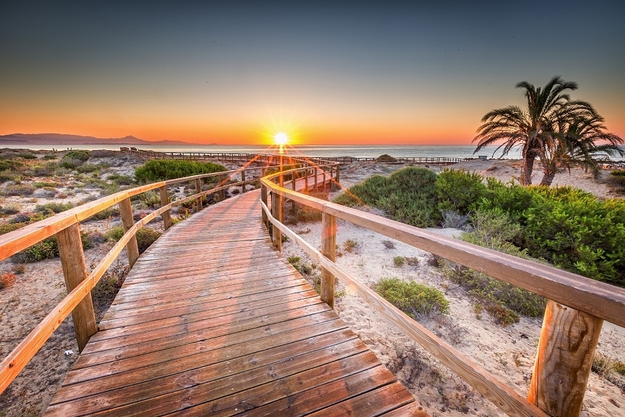 A wooden boardwalk winds through natural landscaping, leading toward the horizon where the sun sets over the calm sea. The path is flanked by sandy areas and sparse vegetation, including palms, creating a serene coastal atmosphere.