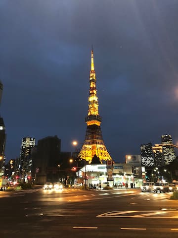 Condo A (Fully Renovated Flat in Central Tokyo)