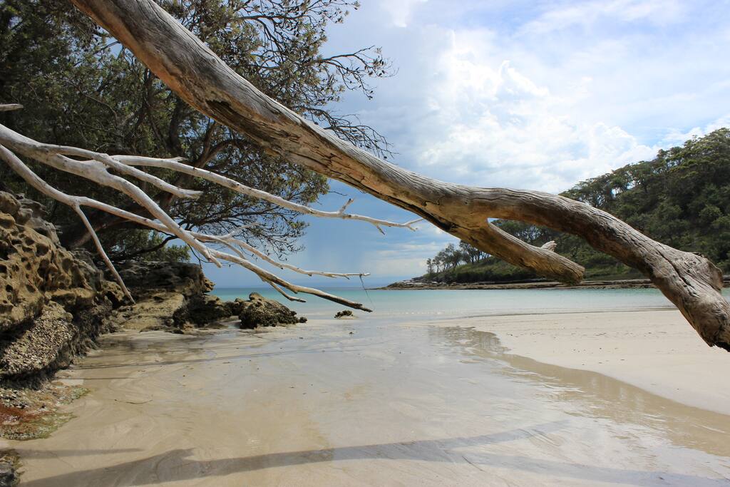local beaches