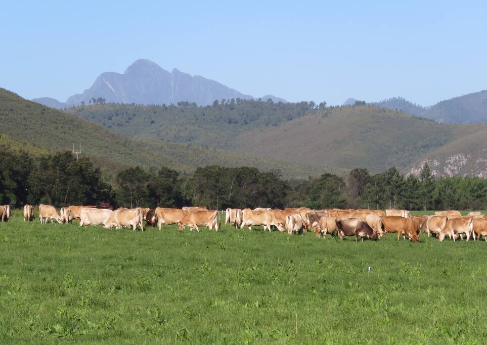 Farm view