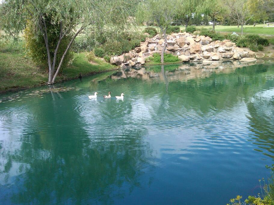 View from Lake gazebo