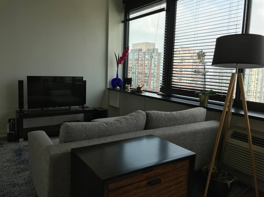 Living room with sectional and TV