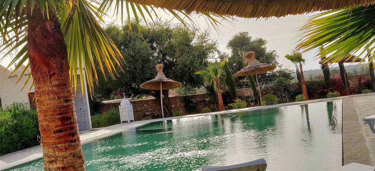 A serene swimming pool is framed by tall palm trees and thatched umbrellas. Lush green foliage surrounds the area, providing a tranquil environment. The water's surface reflects the natural light, creating a calming atmosphere.