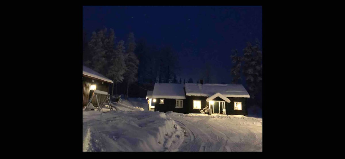 A quaint wooden house with a sloped roof is enveloped in snow, illuminated by exterior lights. Shadows of surrounding trees stand tall against a dark evening sky, while snow-covered pathways lead to the entrance, creating a serene winter scene.