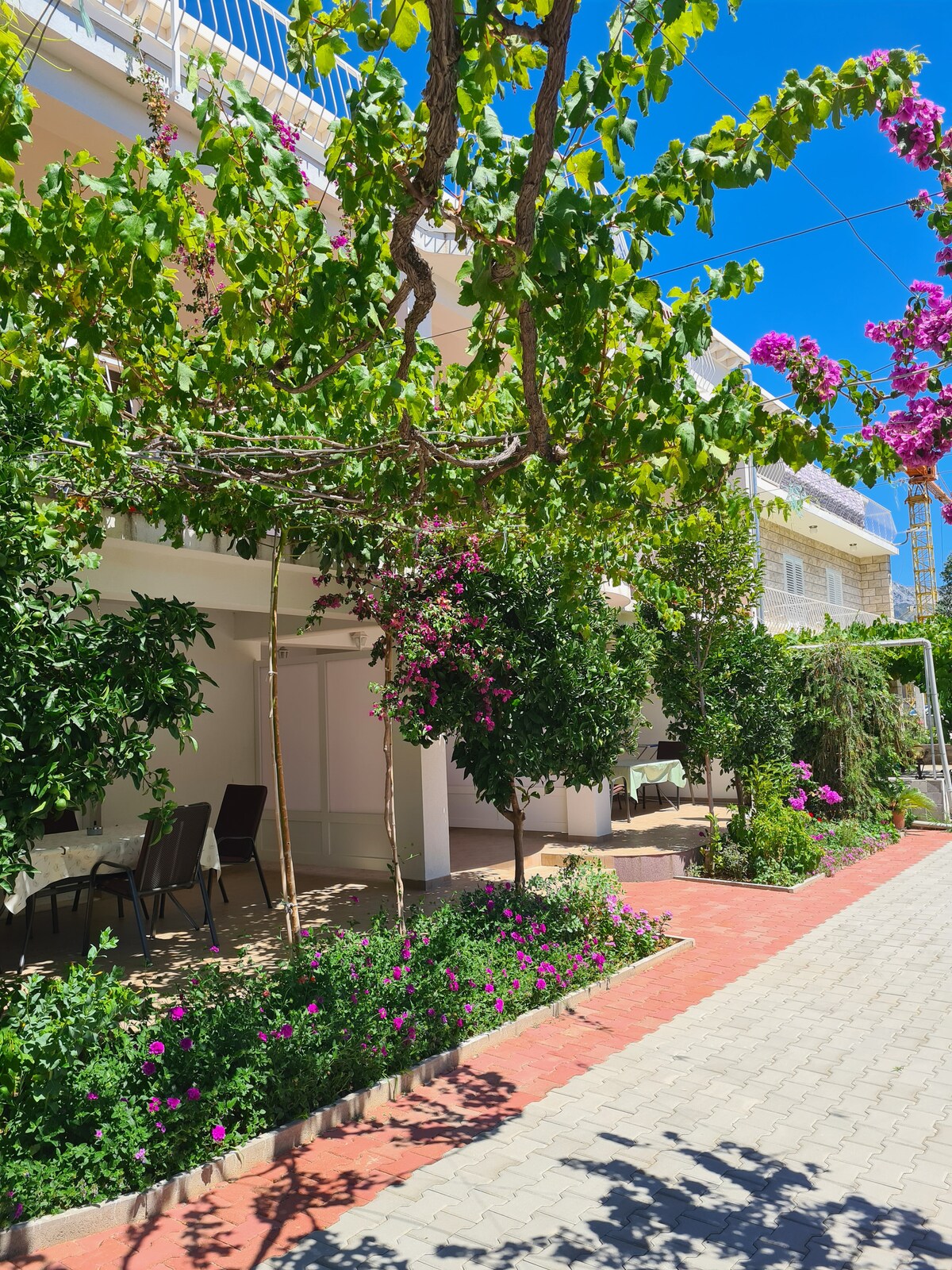 A vibrant garden pathway is surrounded by lush greenery and blooming flowers. The area features shaded seating options under overhanging vines, creating a serene outdoor space for relaxation. Sunlight filters through the trees, enhancing the natural beauty of the setting.