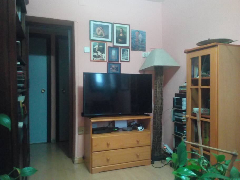 Salon 1